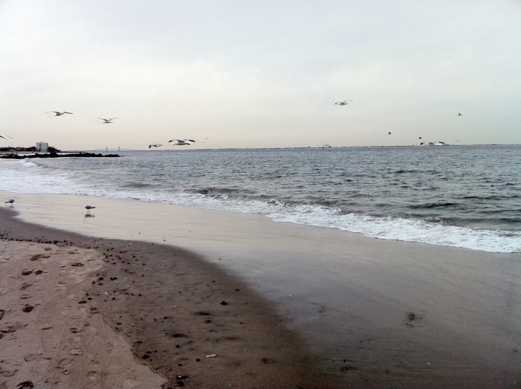 brighton beach photo