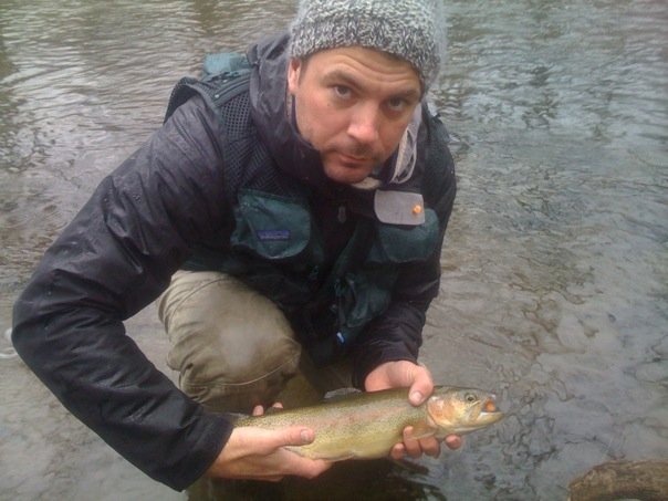 browntrout