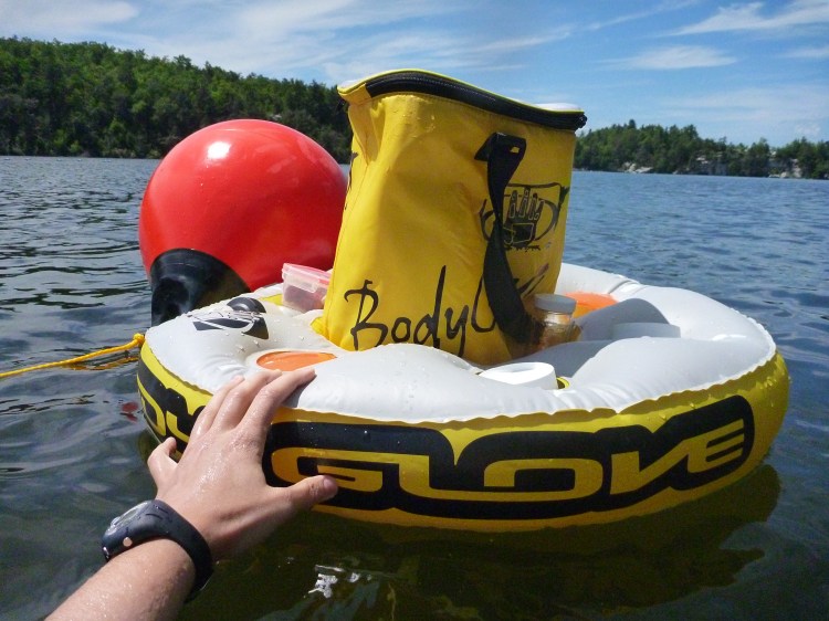 photo of feeding station